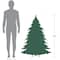 4.5ft. Pre-Lit Snowy Bristle Pine Artificial Christmas Tree, Clear Lights